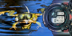 Casio Frogman slaví 30 – Příběh od pulce po třicetiletou žábu