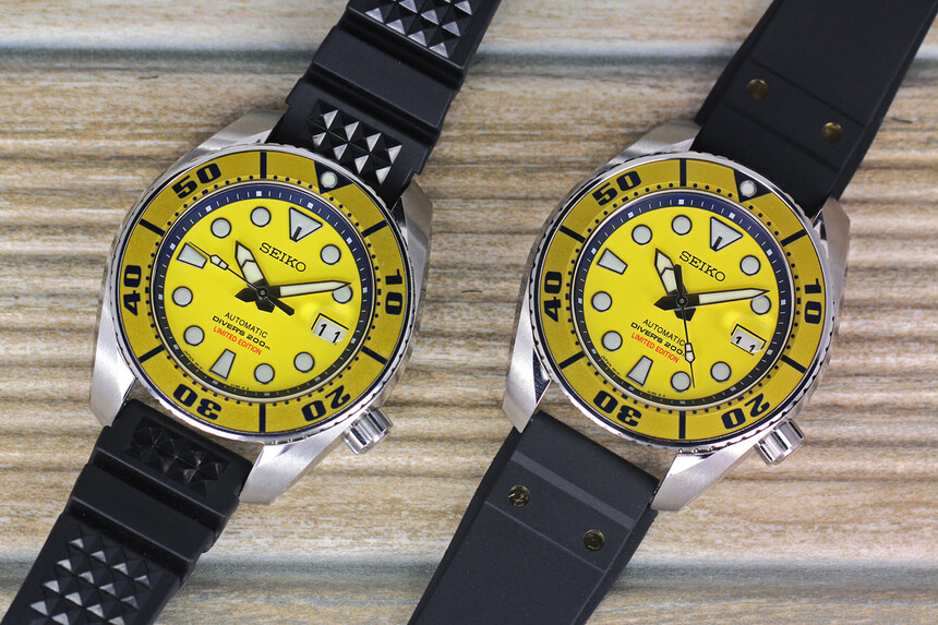 Yellow Sumo. Zdroj: www.philippinewatchclub.org