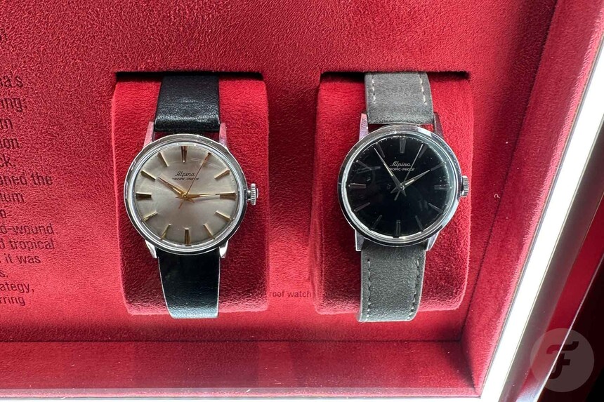 Alpina Tropic-Proof Vintage. Zdroj: https://www.fratellowatches.com
