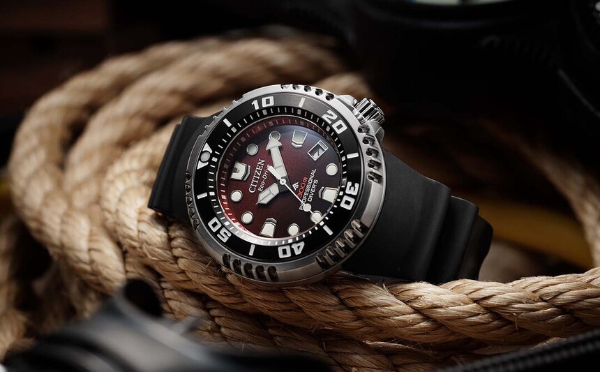 Citizen Promaster Marine NY10 s vínovým číselníkem.