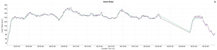 Zelená – Polar Verity Sense (pažní snímač), fialová – Suunto Run | Zdroj: Analyzer DC Rainmaker