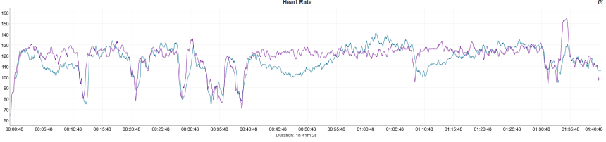 Plavání. Modrá – Coros Pace 4, fialová – Polar Verity Sense.