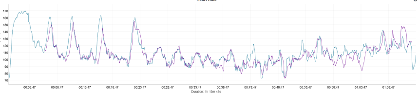 Silový trénink. Modrá – Coros Pace 4, fialová – Polar Verity Sense.