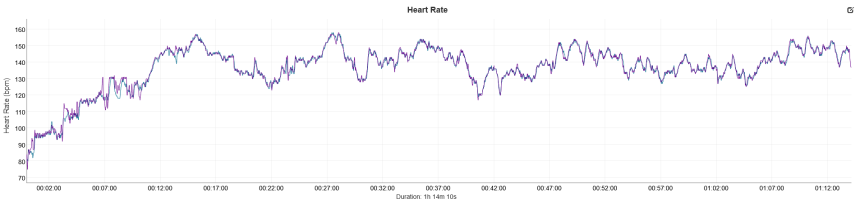 modrá – Amazfit T-Rex Ultra 2, fialová – Garmin HRM Pro Plus