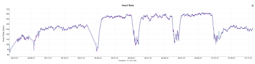 modrá (Suunto Run 2), fialová (Garmin HRM-600)