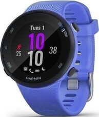 Garmin Forerunner 45S Optic Berry