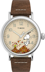 Timex Standard x Peanuts Fall TW2U86200
