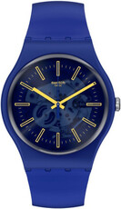 Swatch Sunbrush Sky SO29N101