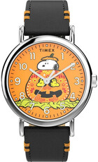Timex Peanuts TW2Y12300UK