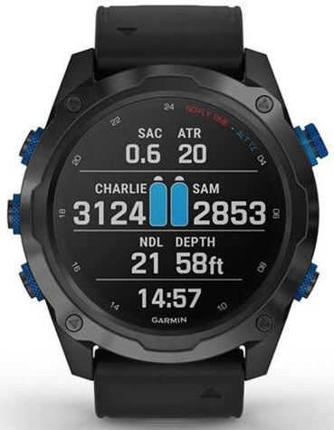 garmin mk1 titanium band