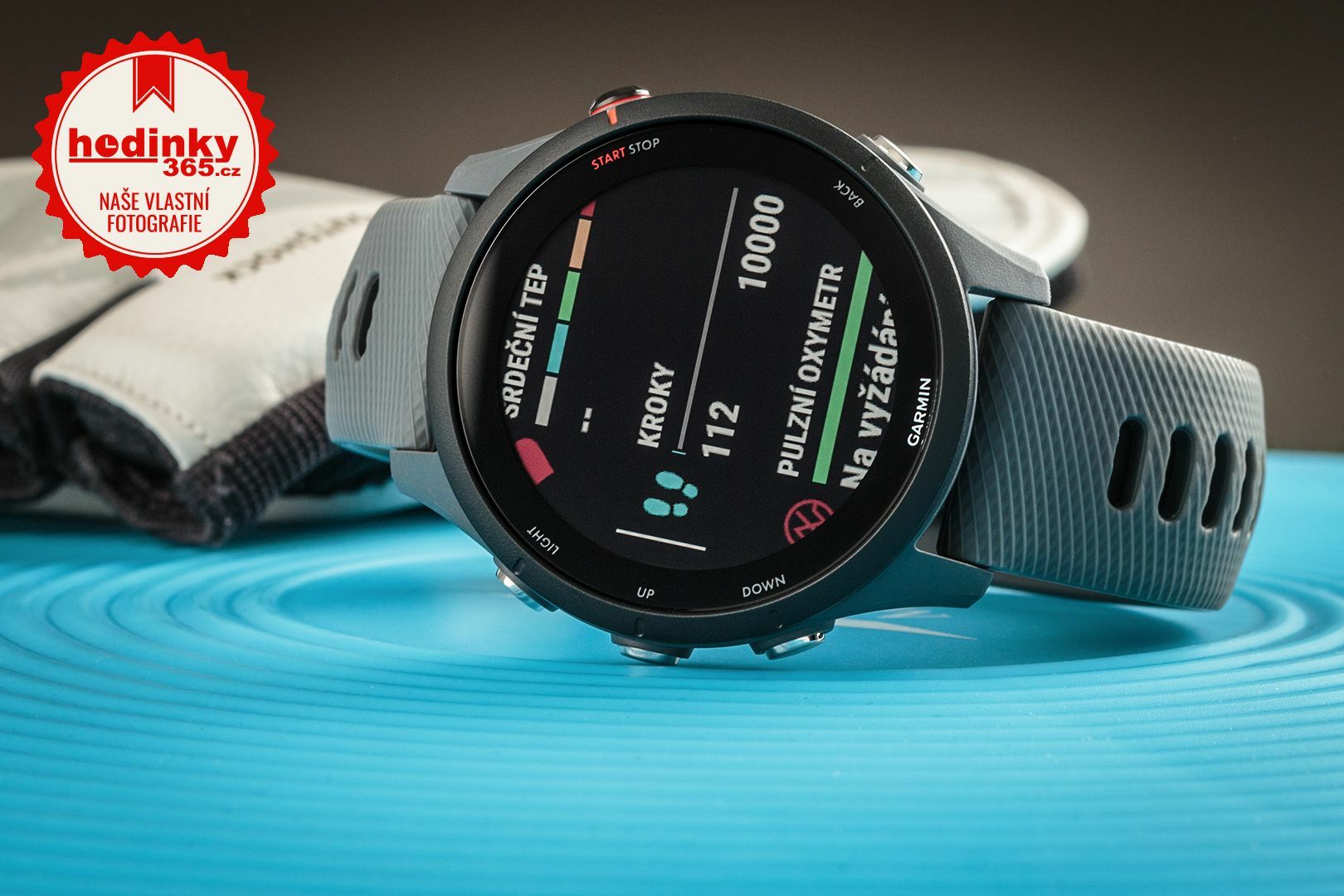 Garmin Forerunner 255 Slate Grey