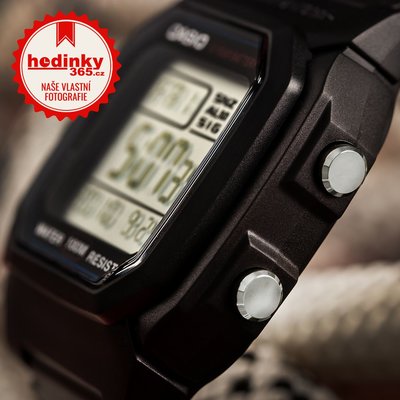 Casio Collection W-800H-1AVES