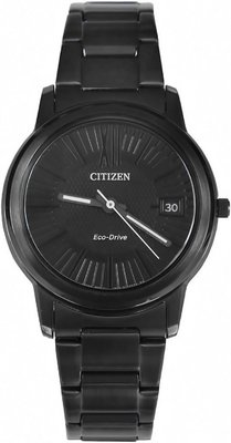 Citizen FE6015-56E