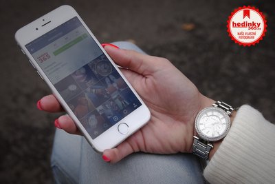 Michael Kors Mini Parker MK5615