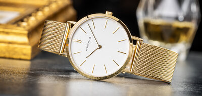 Bering Classic 14134-331