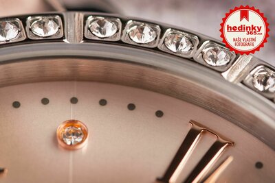 Festina Boyfriend 20412/2