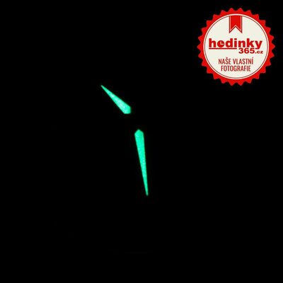 Casio Collection MTP-1303PL-2AVEF