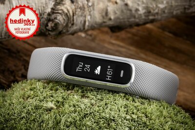 Garmin Vívosmart 4 Gray/Silver (velikost S/M)