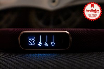 Garmin Vívosmart 4 Merlot/Rose Gold (velikost S/M)