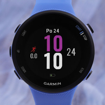 Garmin Forerunner 45S Optic Berry