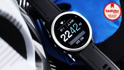 Garmin Fenix 6S Glass Silver/Black Band
