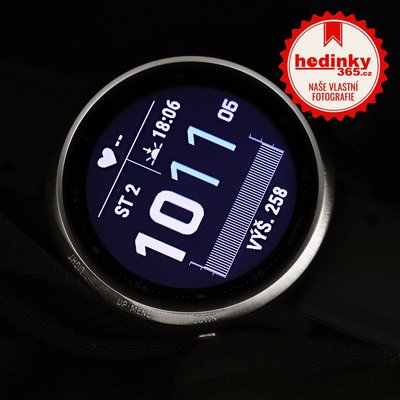 Garmin Fenix 6S Glass Silver/Black Band