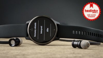 Garmin Venu Black/Slate Band
