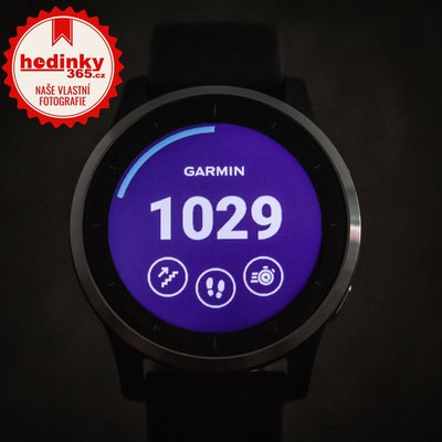 Garmin Vívoactive 4 Silver/Gray Band