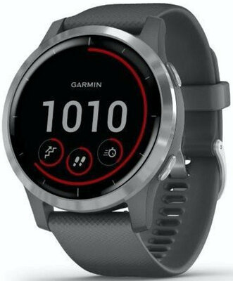 Garmin Vívoactive 4 Silver/Gray Band