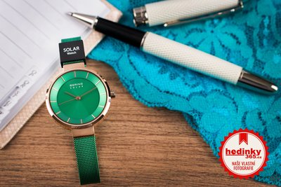 Bering Charity 14631 Time to Care Limited Edition 2000pcs