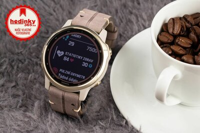 Garmin Fenix 6S PRO Solar, LightGold/Suede Band (MAP/Music) (+ náhradní řemínek)