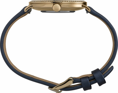 Timex Crystal TW2U40800