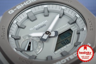 Casio G-Shock Original GA-2110ET-8AER Earth Tone Color Series Carbon Core Guard