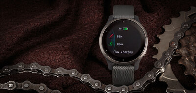 Garmin Venu 2S Slate / Black Band