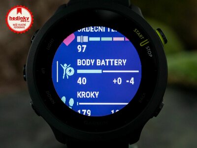 Garmin Forerunner 55 Black