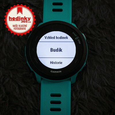 Garmin Forerunner 55 Blue