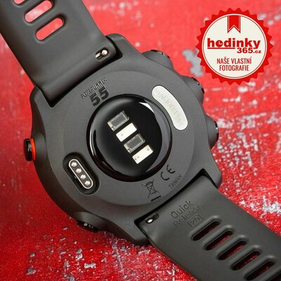 Garmin Forerunner 55 Grey