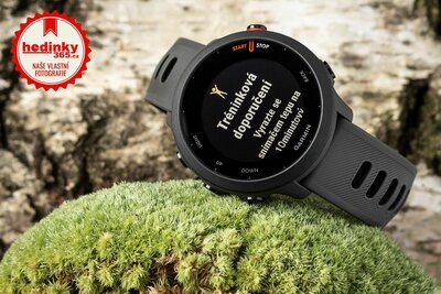 Garmin Forerunner 55 Grey