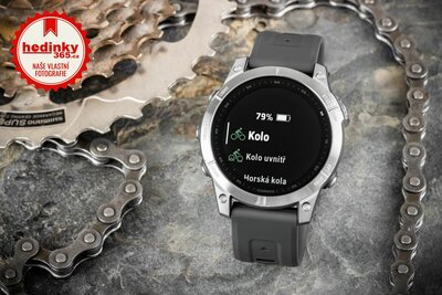 Garmin Fenix 7 Silver / Graphite Band