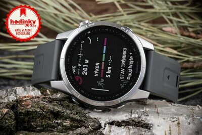 Garmin Fenix 7S Silver / Graphite Band