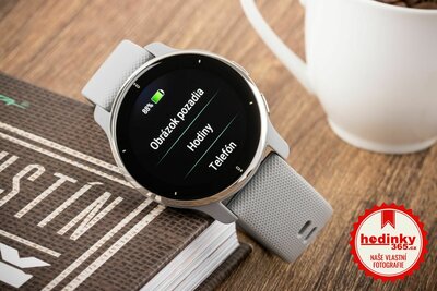 Garmin Venu 2 Plus Silver / Gray Band