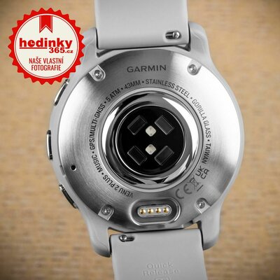 Garmin Venu 2 Plus Silver / Gray Band