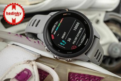 Garmin Forerunner 255S Powder Grey