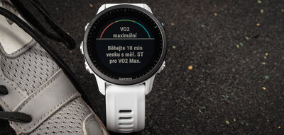 Garmin Forerunner 955 Whitestone