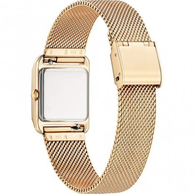 Citizen Elegant Eco-Drive EW5593-64D (+ náhradní řemínek)