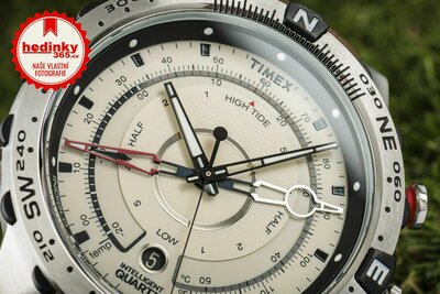 Timex Expedition T2N721UK