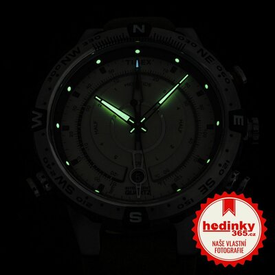 Timex Expedition T2N721UK
