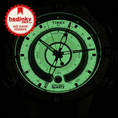 Timex Expedition T2N721UK