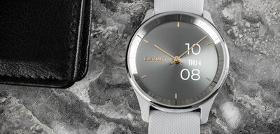 Garmin Vívomove Trend Silver / Mist Gray Band