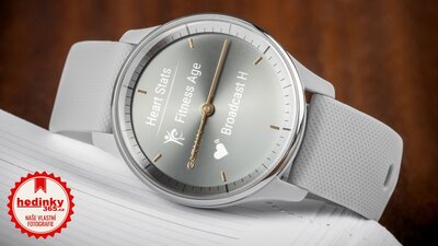 Garmin Vívomove Trend Silver / Mist Gray Band